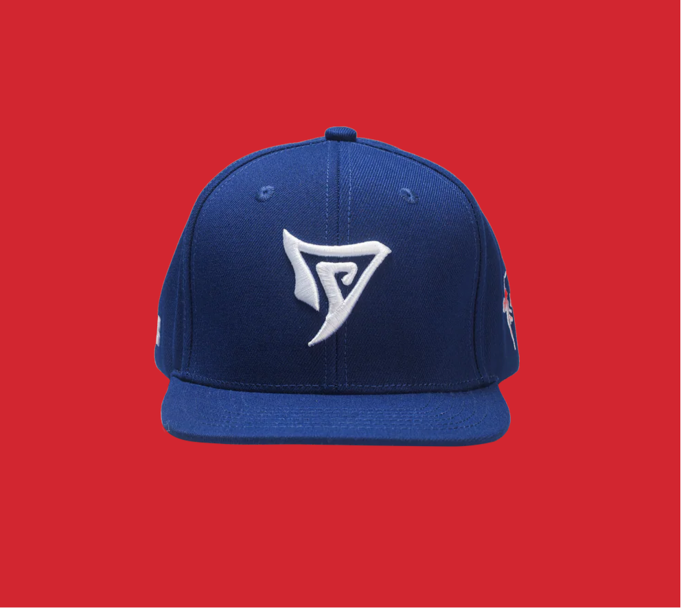 VY OG LOGO BLUE SNAPBACK