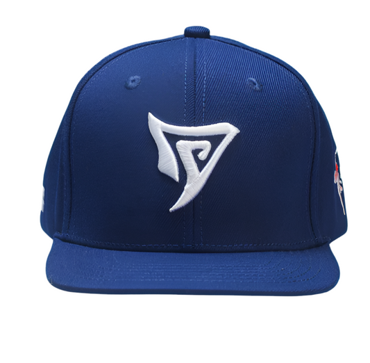 VY OG LOGO BLUE SNAPBACK