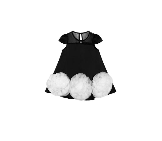 Dress & Fleur
Rose-embellished mesh-yoke dress